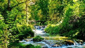 Preview wallpaper stream, river, streams, green, wood, light, trees, solarly, branches, cascades