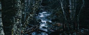 Preview wallpaper stream, river, trees, forest, nature