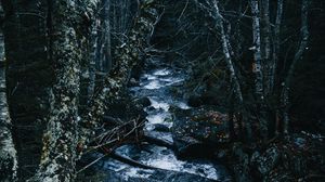 Preview wallpaper stream, river, trees, forest, nature