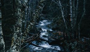 Preview wallpaper stream, river, trees, forest, nature