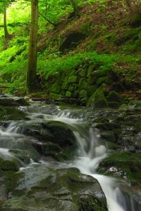 Preview wallpaper stream, river, wood, stones, murmur