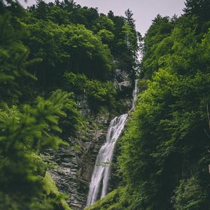 Preview wallpaper stream, rock, trees, forest, greens, stone