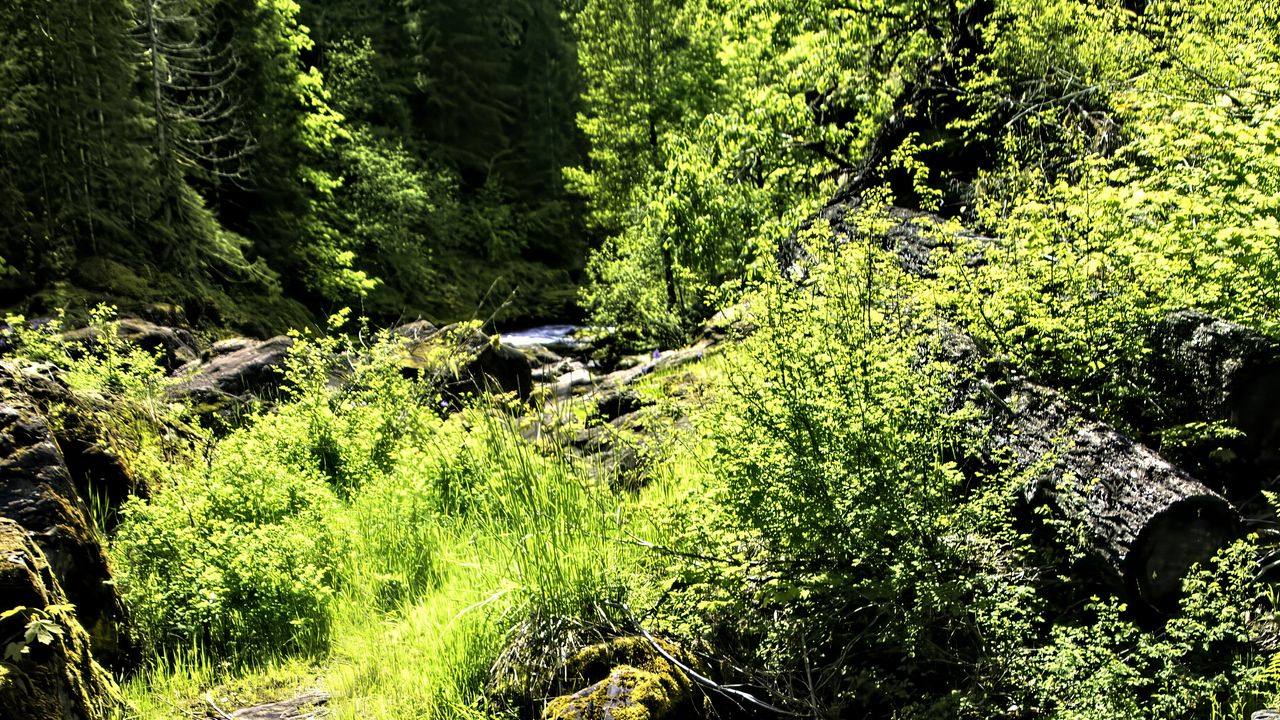 Wallpaper stream, rocks, landscape, forest, nature