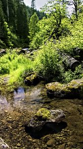 Preview wallpaper stream, rocks, landscape, forest, nature