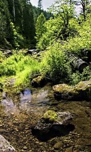 Preview wallpaper stream, rocks, landscape, forest, nature