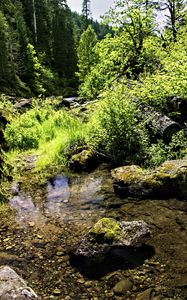 Preview wallpaper stream, rocks, landscape, forest, nature