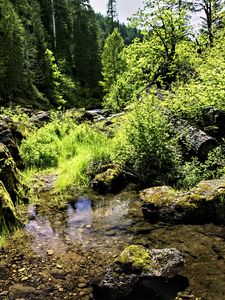 Preview wallpaper stream, rocks, landscape, forest, nature