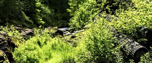 Preview wallpaper stream, rocks, landscape, forest, nature