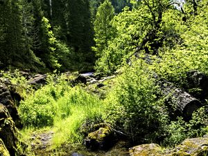 Preview wallpaper stream, rocks, landscape, forest, nature