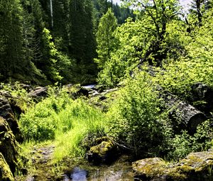 Preview wallpaper stream, rocks, landscape, forest, nature