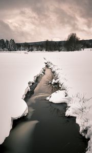 Preview wallpaper stream, snow, field, trees, winter, nature