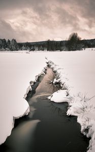 Preview wallpaper stream, snow, field, trees, winter, nature