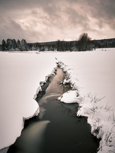 Preview wallpaper stream, snow, field, trees, winter, nature