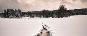 Preview wallpaper stream, snow, field, trees, winter, nature