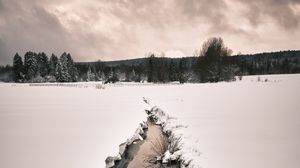 Preview wallpaper stream, snow, field, trees, winter, nature