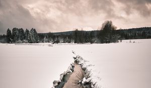 Preview wallpaper stream, snow, field, trees, winter, nature