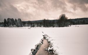 Preview wallpaper stream, snow, field, trees, winter, nature