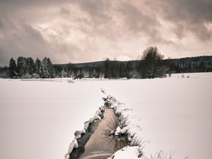 Preview wallpaper stream, snow, field, trees, winter, nature