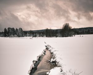 Preview wallpaper stream, snow, field, trees, winter, nature