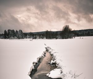 Preview wallpaper stream, snow, field, trees, winter, nature