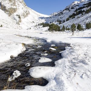 Preview wallpaper stream, snow, mountains, trees