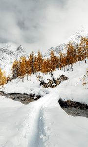 Preview wallpaper stream, snow, path, mountains, trees, winter