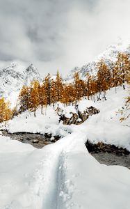 Preview wallpaper stream, snow, path, mountains, trees, winter