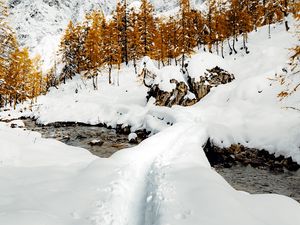 Preview wallpaper stream, snow, path, mountains, trees, winter