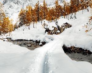 Preview wallpaper stream, snow, path, mountains, trees, winter