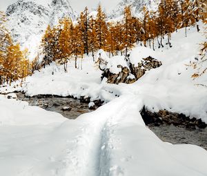 Preview wallpaper stream, snow, path, mountains, trees, winter