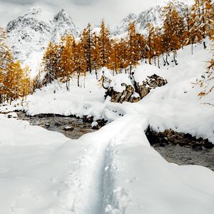 Preview wallpaper stream, snow, path, mountains, trees, winter