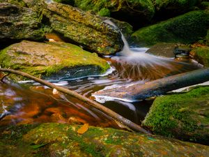 Preview wallpaper stream, stones, branches, foam, nature