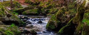 Preview wallpaper stream, stones, branches, leaves, autumn