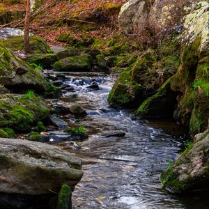 Preview wallpaper stream, stones, branches, leaves, autumn