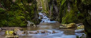 Preview wallpaper stream, stones, bridge, rocks