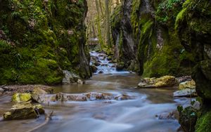 Preview wallpaper stream, stones, bridge, rocks