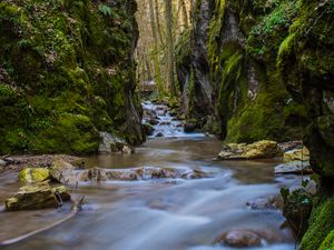 Preview wallpaper stream, stones, bridge, rocks