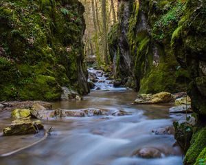 Preview wallpaper stream, stones, bridge, rocks