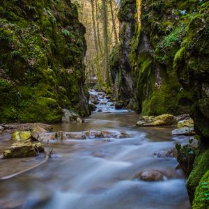 Preview wallpaper stream, stones, bridge, rocks