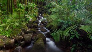 Preview wallpaper stream, stones, forest, plants, landscape