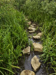 Preview wallpaper stream, stones, grass, nature, landscape