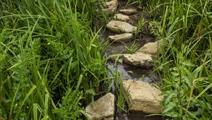 Preview wallpaper stream, stones, grass, nature, landscape