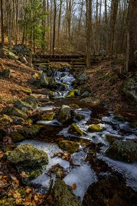 Preview wallpaper stream, stones, ice, nature