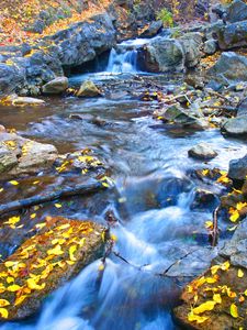 Preview wallpaper stream, stones, leaves, autumn