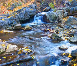 Preview wallpaper stream, stones, leaves, autumn