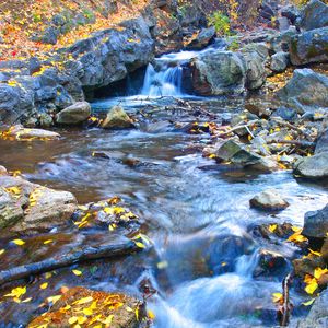 Preview wallpaper stream, stones, leaves, autumn