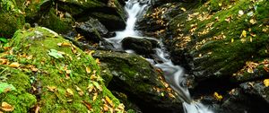 Preview wallpaper stream, stones, leaves, dry