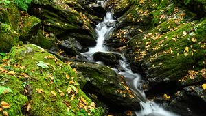 Preview wallpaper stream, stones, leaves, dry