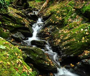 Preview wallpaper stream, stones, leaves, dry