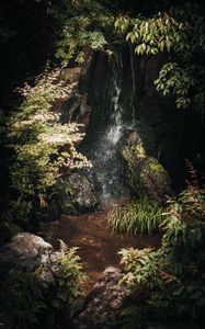 Preview wallpaper stream, stones, leaves, nature